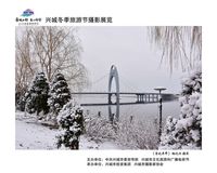 冬日海河湿地公园