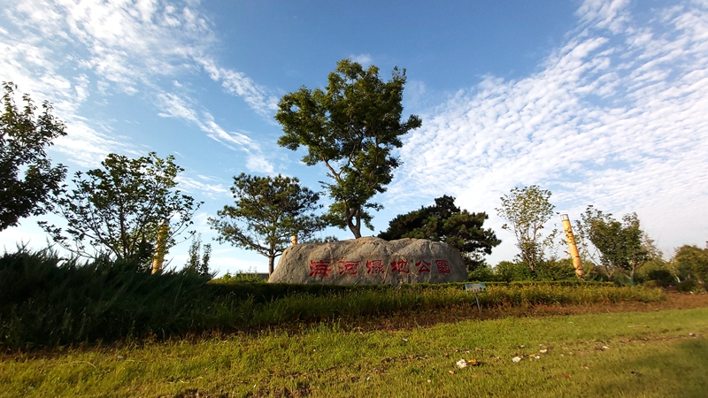 20200825_070147_副本.jpg