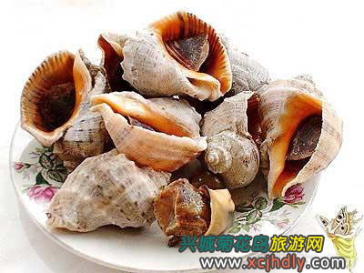 20100310174546210.jpg