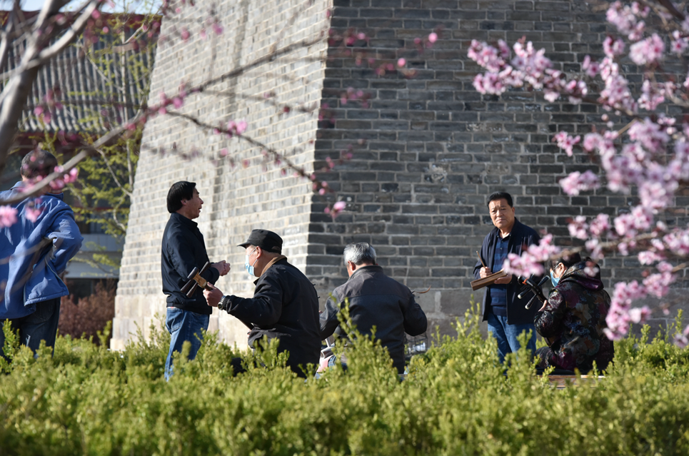 古城春花烂漫_20200502123246.png