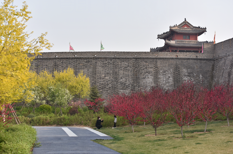 古城春花烂漫_20200502123308.png