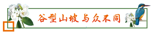 微信图片_20200418075024.png