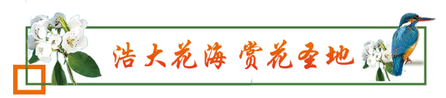 微信图片_20200418075047.png