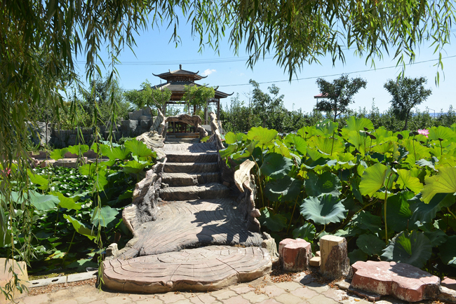 兴城德赢生态园荷花池.