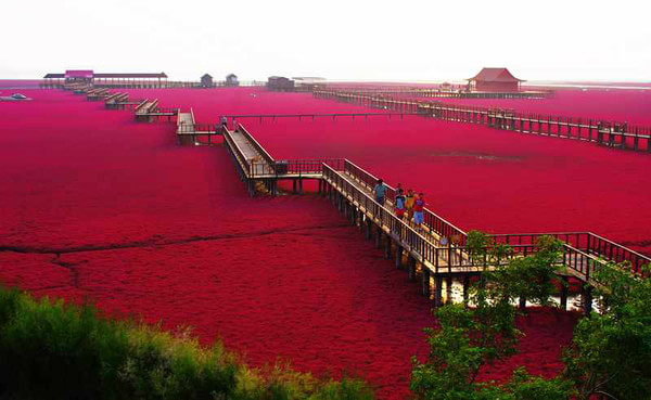 北京神舟9月红海滩散客3日游 - 兴城旅游在线
